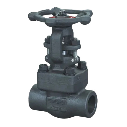 Industrial Forged Steel Gate Valves Manufacturer