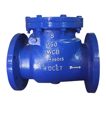 Industrial Check Valves Manufacturer