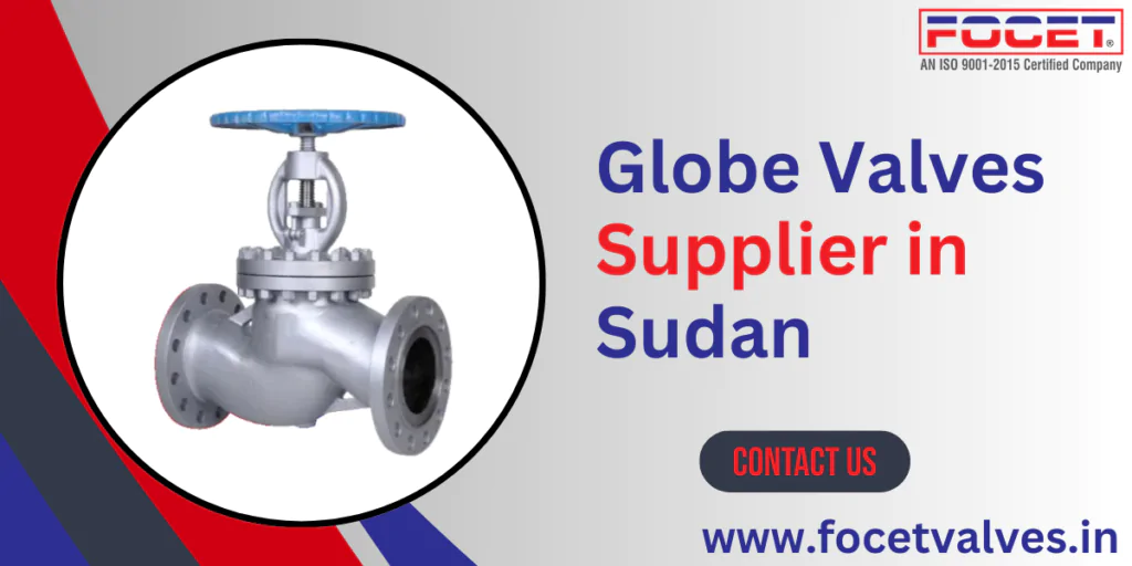 Globe Valves Supplier in Sudan