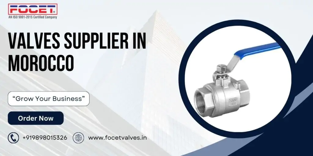 Valves Supplier in Morocco