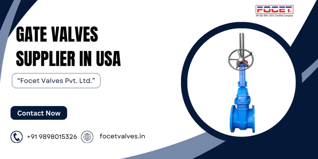 Gate Valves Supplier in USA