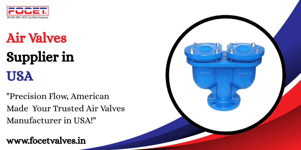 Air Valves Supplier in USA